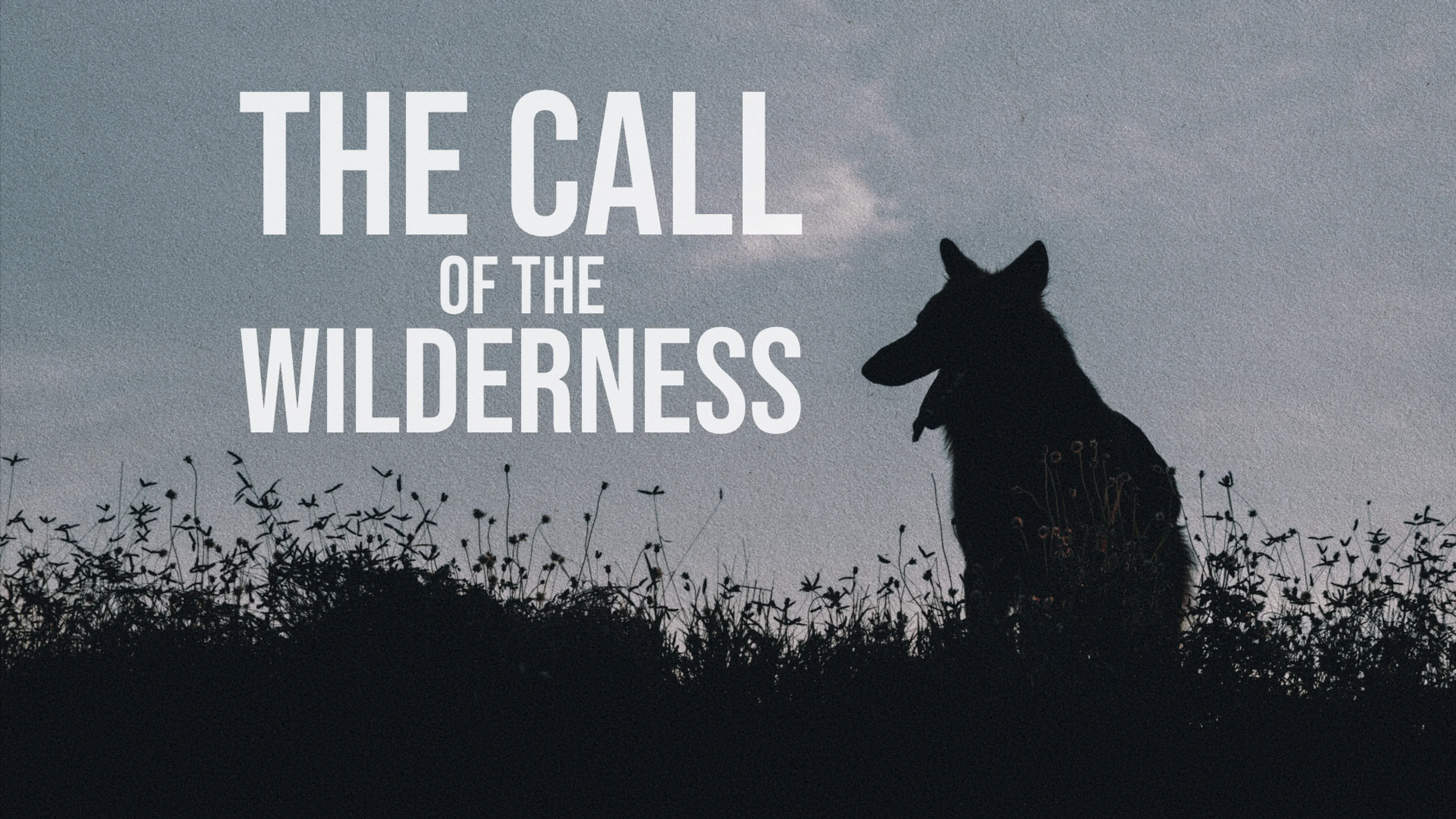 The Call of the Wilderness poster